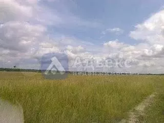 Участок 10,1 сот. (СНТ, ДНП) - Фото 1