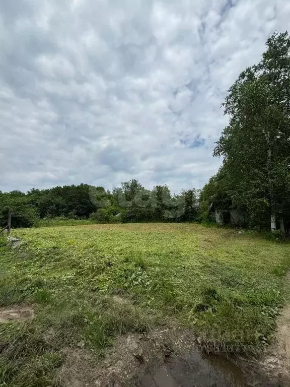 Участок в Амурская область, Благовещенск  (8.0 сот.) - Фото 1