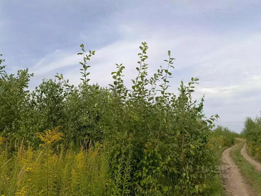 Участок в Московская область, Кашира городской округ, д. Тарасково  ... - Фото 1