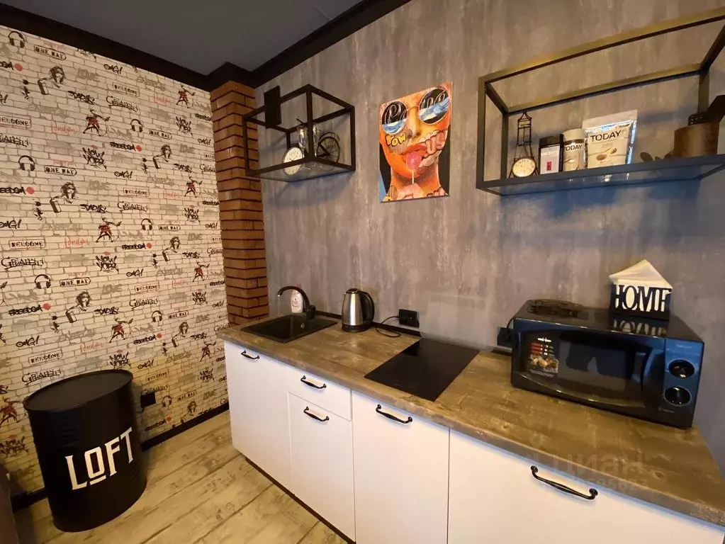 1-к кв. Тюменская область, Тюмень ул. Николая Никитина, 2 (30.0 м) - Фото 1