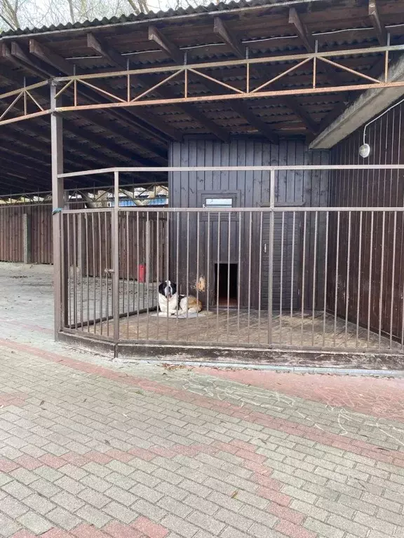 Таунхаус в Калужская область, Козельский муниципальный округ, Нижние ... - Фото 2