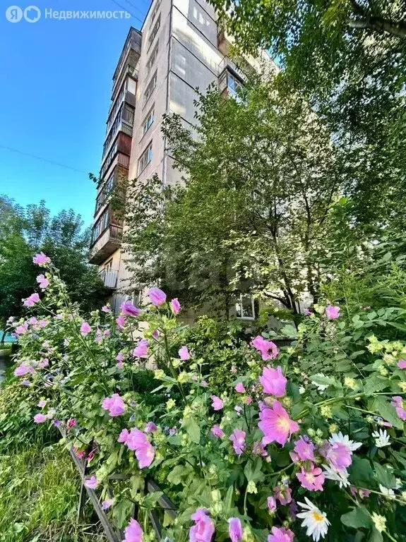 2-комнатная квартира: Колпино, улица Веры Слуцкой, 19 (52.5 м) - Фото 2