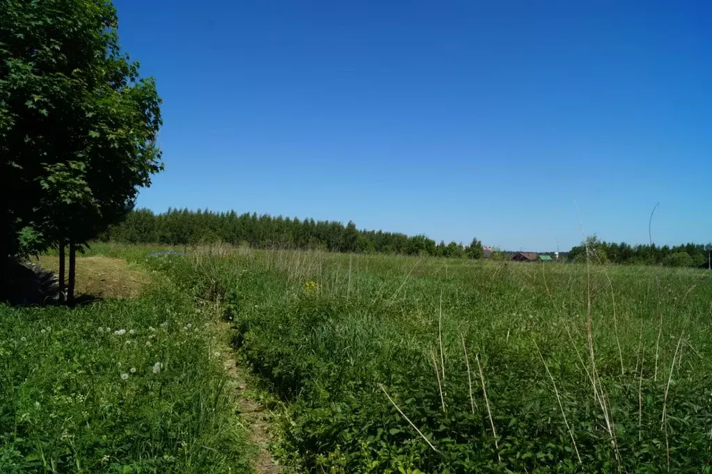 Участок в Московская область, Одинцовский городской округ, д. ... - Фото 0