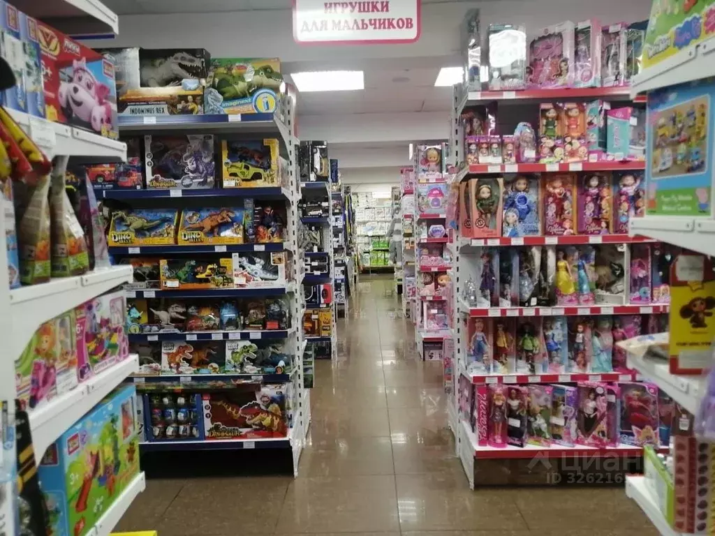 Торговая площадь в Хабаровский край, Хабаровск ул. Ленина, 49 (750 м) - Фото 2