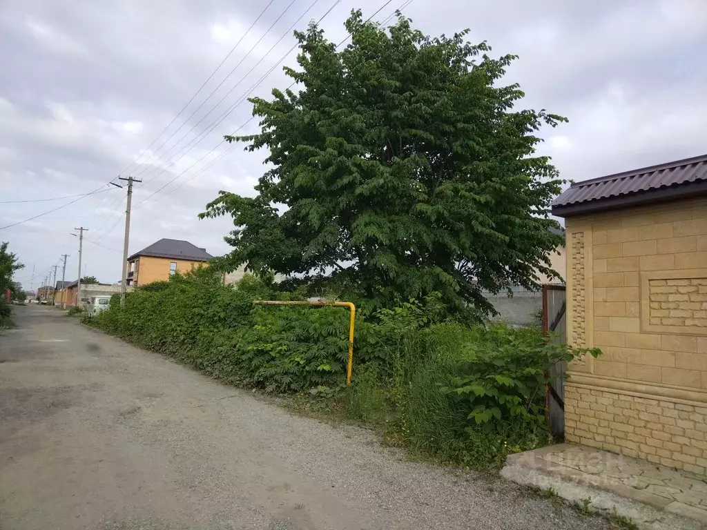 Участок в Северная Осетия, Владикавказ Дарьял СТ, ул. 6-я Линия (5.0 ... - Фото 0