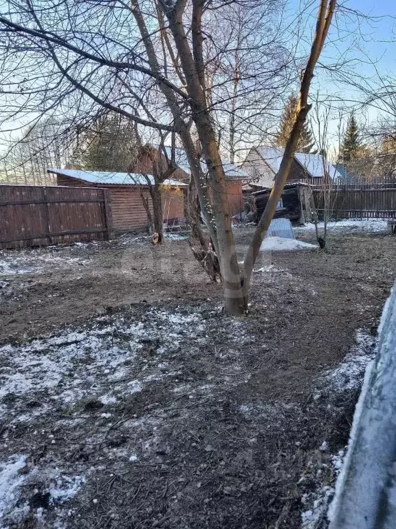 Участок в Москва Дружный СНТ, 92 (8.15 сот.) - Фото 0