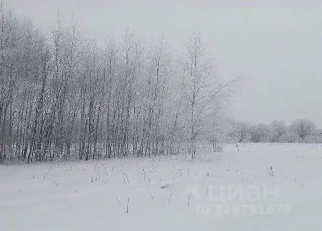 Участок в Московская область, Дмитровский муниципальный округ, пос. ... - Фото 0