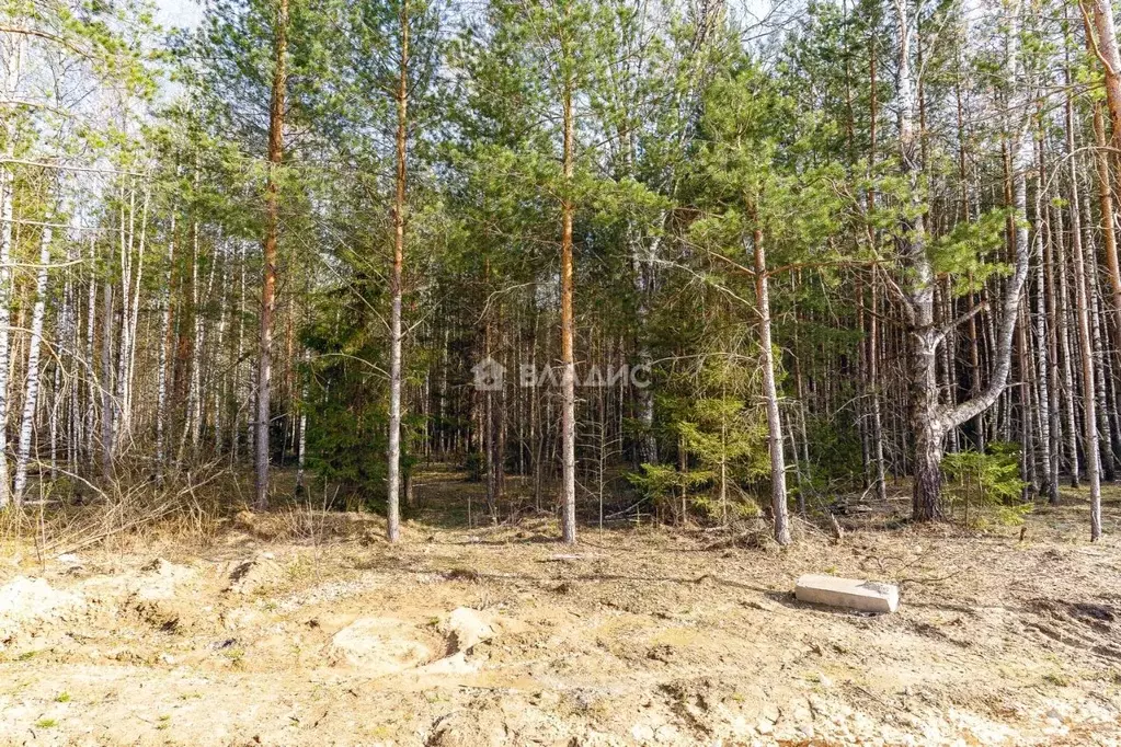 Участок в Владимирская область, Ковровский район, Доброград ... - Фото 1