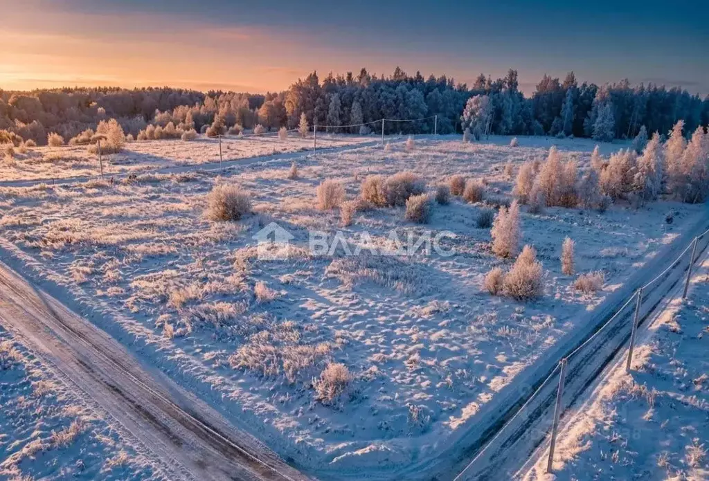 Участок в Ленинградская область, Всеволожский район, Куйвозовское ... - Фото 1