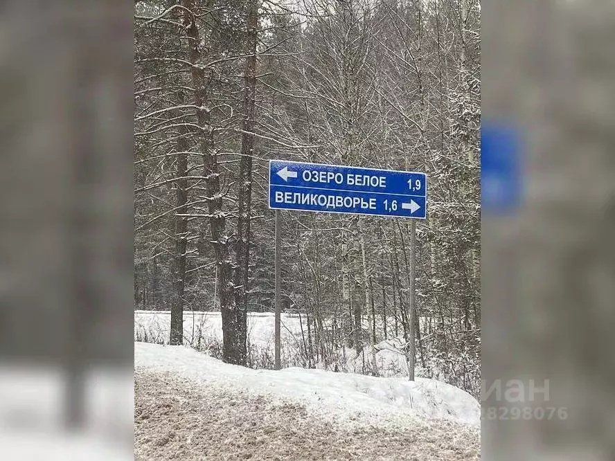 Участок в Московская область, Шатура муниципальный округ, д. ... - Фото 2