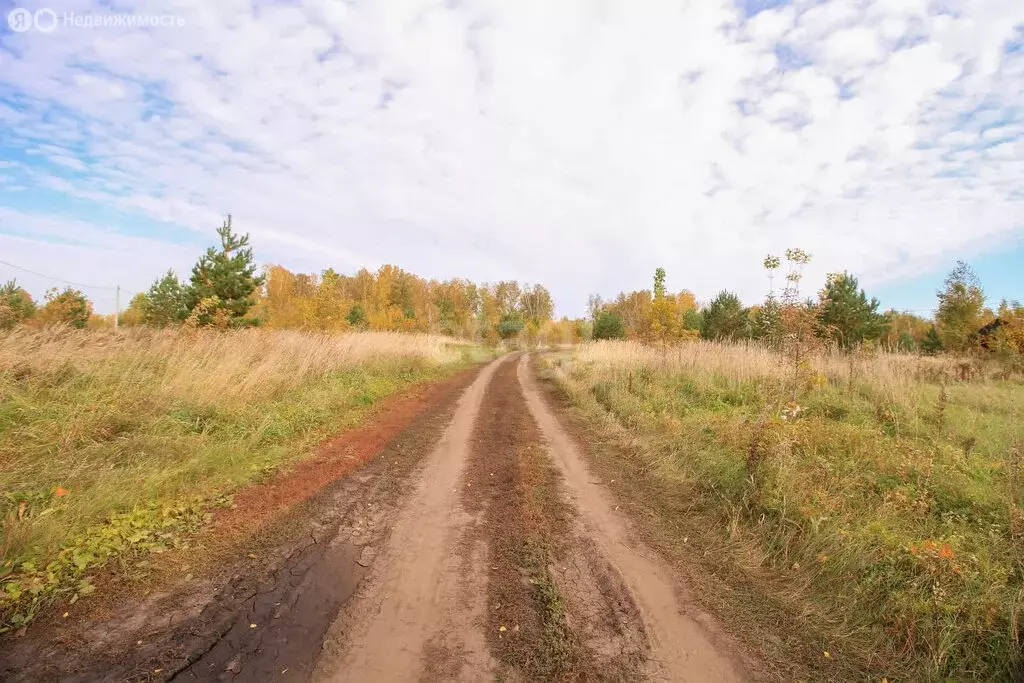 Участок в Первомайский район, посёлок Новый, улица Есенина, 6 (12 м) - Фото 0