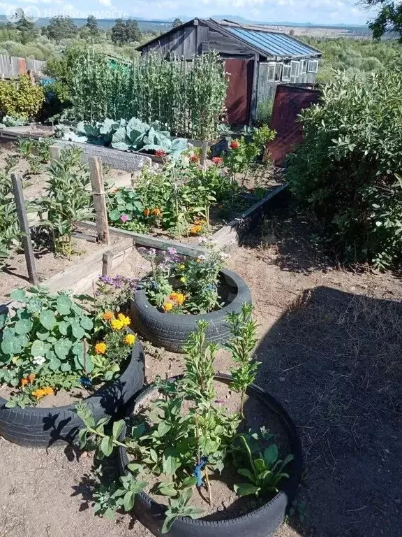 Дом в Заиграевский район, сельское поселение Дабатуйское, СНТ ... - Фото 1