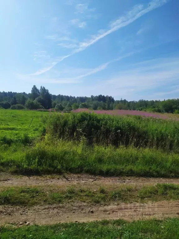 Участок в Новгородская область, Валдайский район, Короцкое с/пос, д. ... - Фото 1