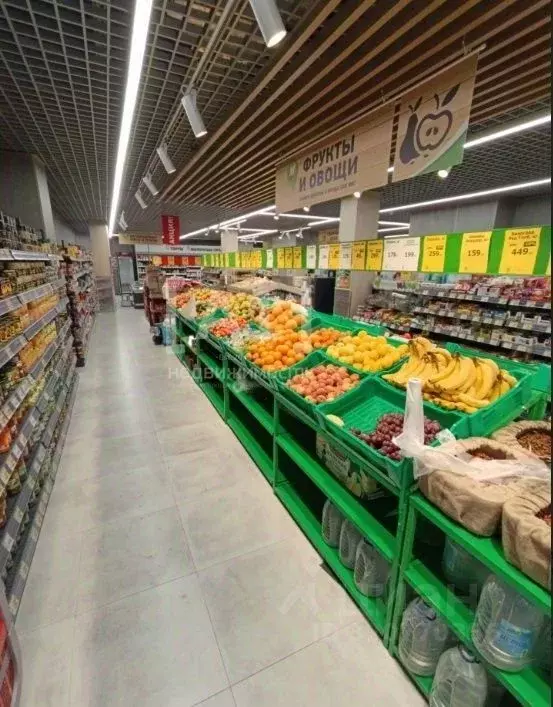 Помещение свободного назначения в Челябинская область, Челябинский ... - Фото 2