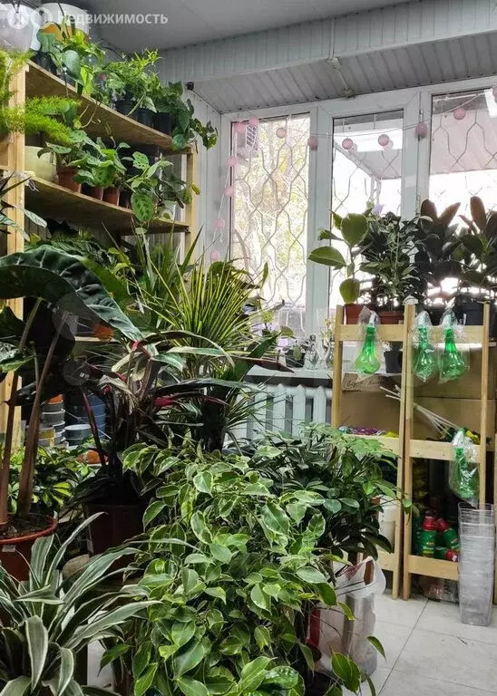 Производственное помещение (28.4 м) - Фото 1