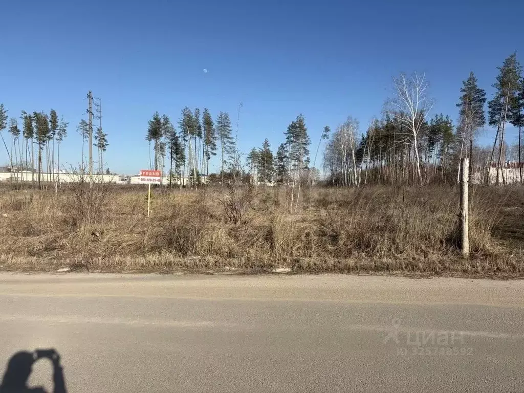 Участок в Воронежская область, Рамонский район, с. Ямное ул. Аграрная, ... - Фото 1