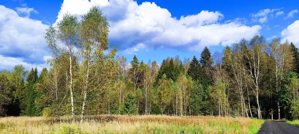Участок в Московская область, Дмитровский муниципальный округ, д. ... - Фото 1