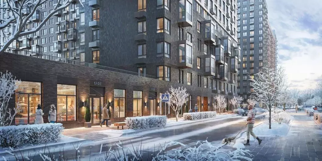 1-к кв. Московская область, Ленинский городской округ, Мисайлово пгт, ... - Фото 2