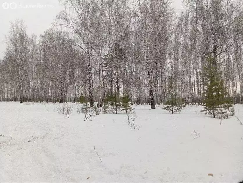 Участок в Тюменский район, Винзилинское муниципальное образование ... - Фото 0