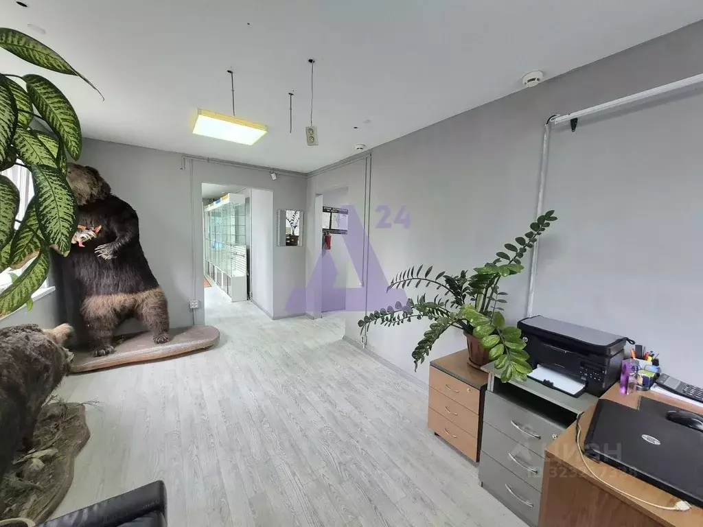 Офис в Алтайский край, Барнаул ул. Шумакова, 44 (60 м) - Фото 1