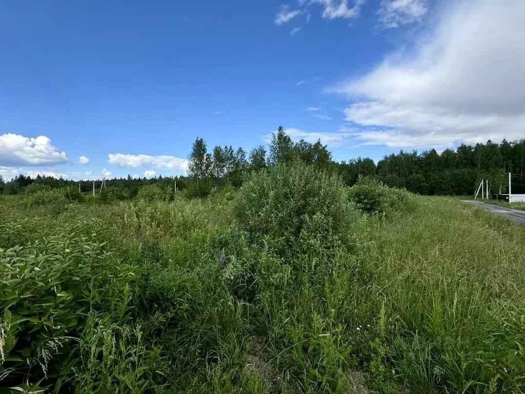 Участок в Московская область, Одинцовский городской округ, Боярово кп  ... - Фото 1