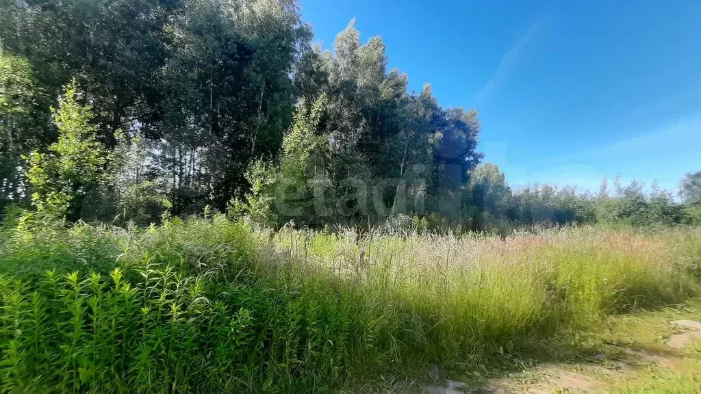 Участок 6,5 сот. (ИЖС) - Фото 1