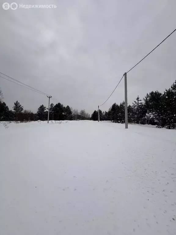 Участок в Пасеговское сельское поселение, деревня Салтыки (20 м) - Фото 1