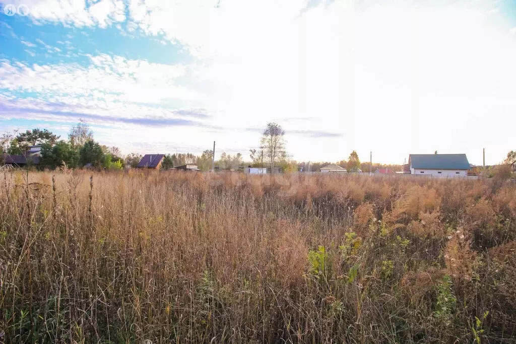 Участок в Первомайский район, СНТ Лесные поляны, Полевая улица (8.32 ... - Фото 1