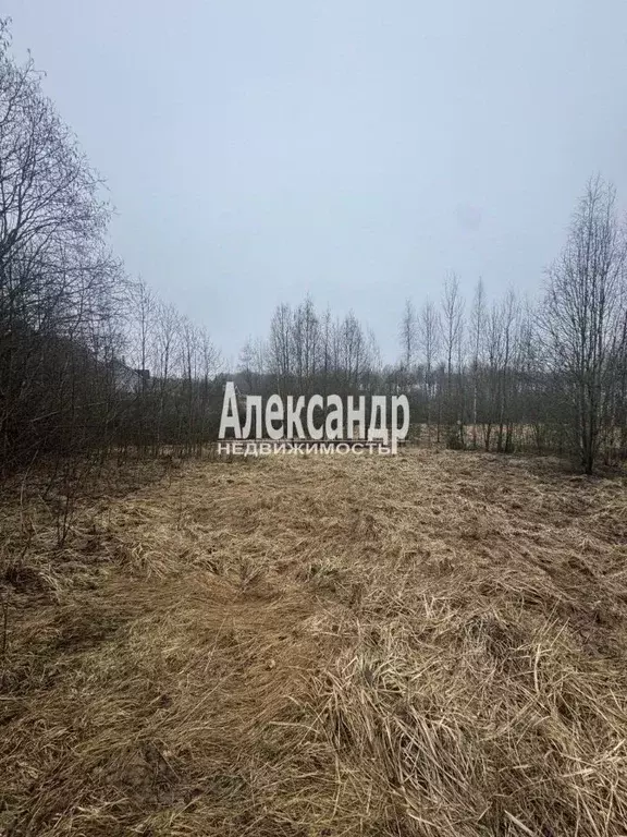 Участок в Ленинградская область, Выборгский район, Рощинское городское ... - Фото 2
