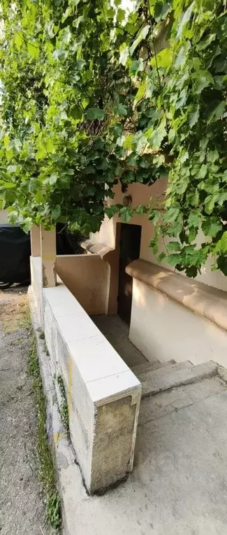 Помещение свободного назначения в Севастополь ул. Коммунистическая, 1 ... - Фото 0