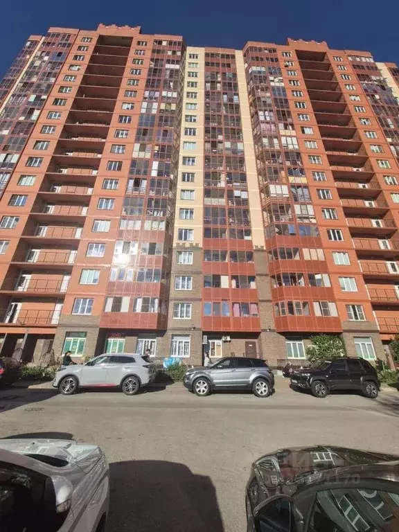 Помещение свободного назначения в Ленинградская область, Мурино ... - Фото 1
