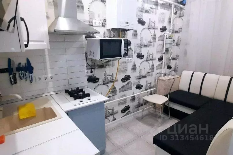 1-к кв. Краснодарский край, Сириус пгт ул. Субтропическая, 4 (25.0 м) - Фото 1