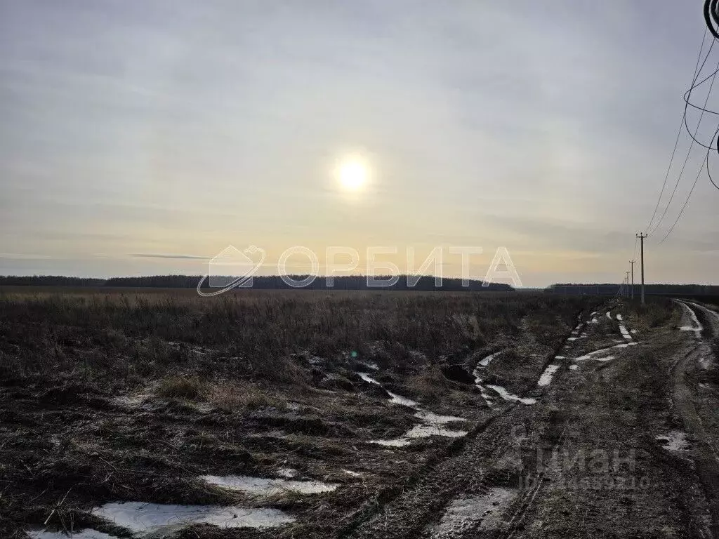 Участок в Тюменская область, Тюменский муниципальный округ, ... - Фото 2