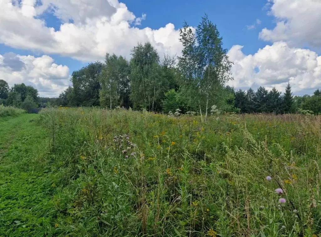 Участок в Московская область, Ступино городской округ, д. Сафроново  ... - Фото 1