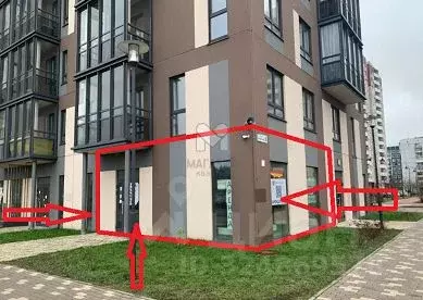 Торговая площадь в Ленинградская область, Всеволожский район, д. Новое ... - Фото 1