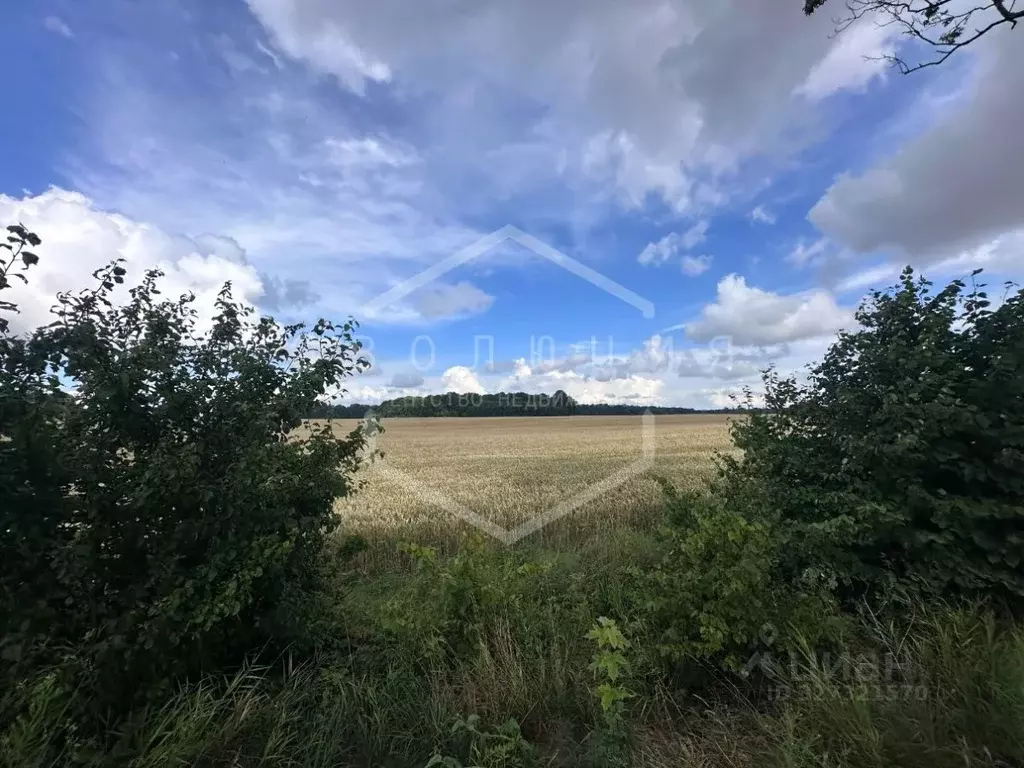 Участок в Калининградская область, Гурьевский муниципальный округ, ... - Фото 2