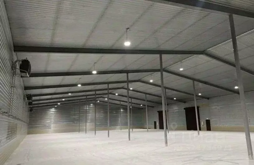 Склад в Ленинградская область, Тельмана Тосненский район, ул. ... - Фото 2