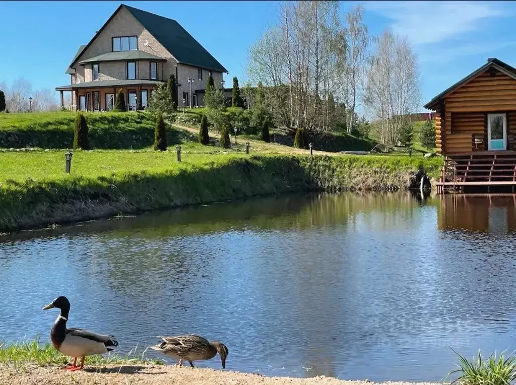 Дом в Псковская область, Себеж городское поселение, д. Клевино 5 (325 ... - Фото 1