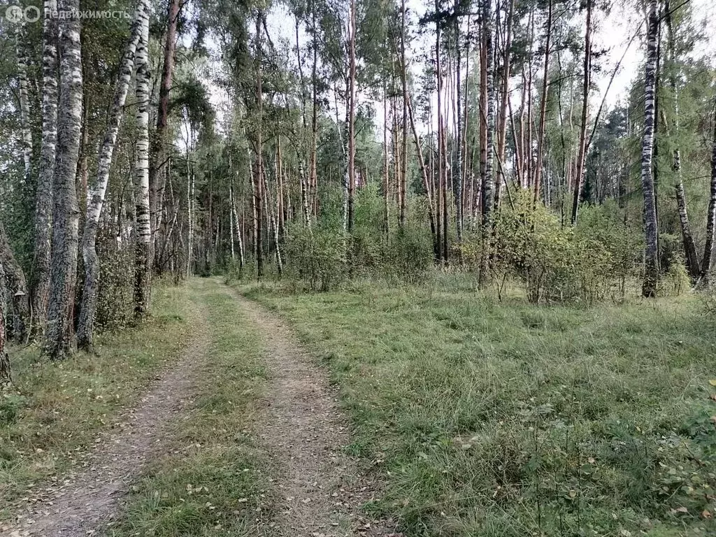 Участок в Московская область, городской округ Щёлково (6 м) - Фото 1