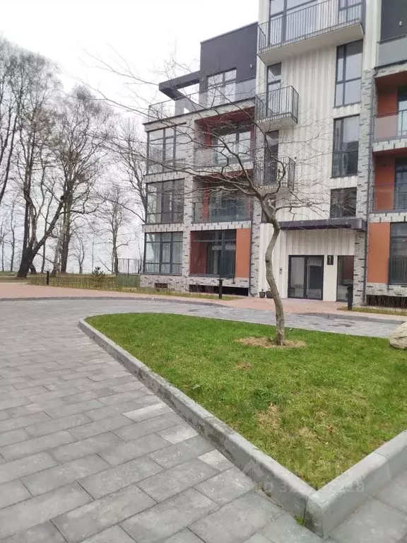 1-к кв. Калининградская область, Светлогорский городской округ, пос. ... - Фото 1