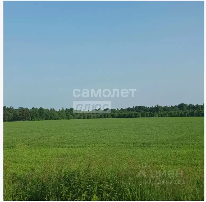 Участок в Новосибирская область, Искитимский район, с. Морозово  (7.63 ... - Фото 1