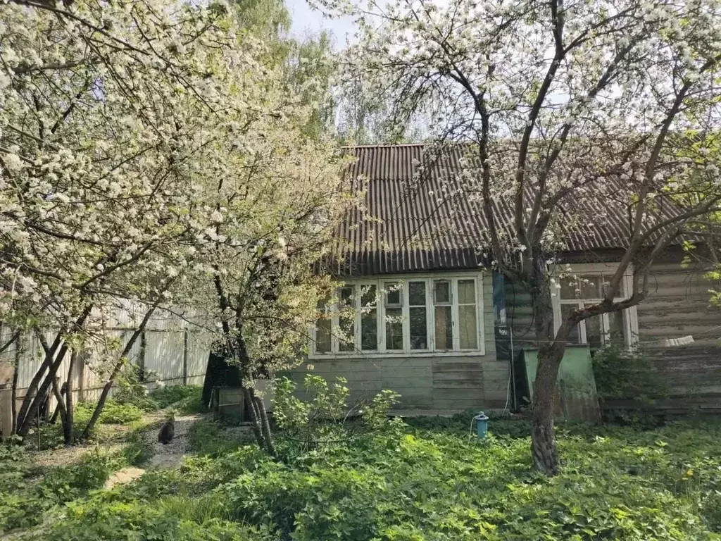 Участок в Московская область, Балашиха Салтыковка мкр,  (3.0 сот.) - Фото 1