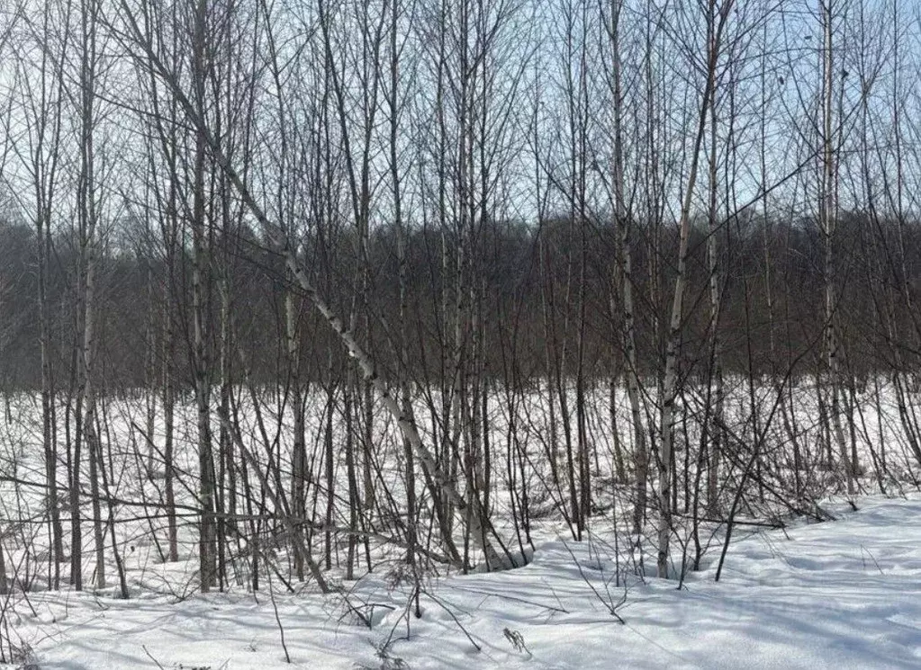 Участок в Московская область, Бронницы  (10.0 сот.) - Фото 1