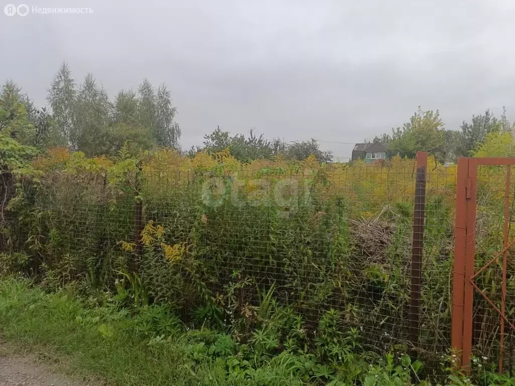 Участок в Орловский муниципальный округ, НСТ Ромашка, 6-я линия (11 м) - Фото 0