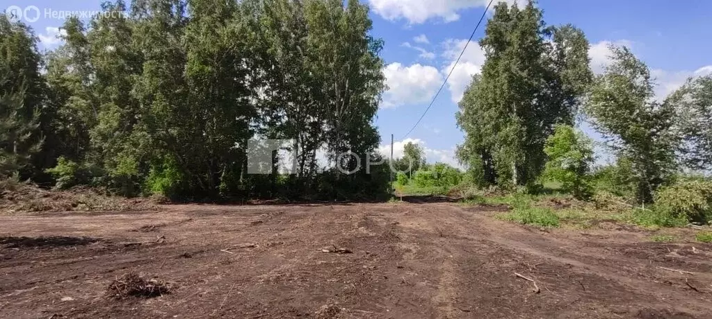 Участок в село Санниково, микрорайон Мирный, 14 (14.99 м) - Фото 1