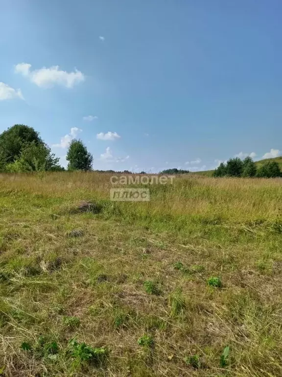 Участок в Вологодская область, д. Брагино  (13.0 сот.) - Фото 1