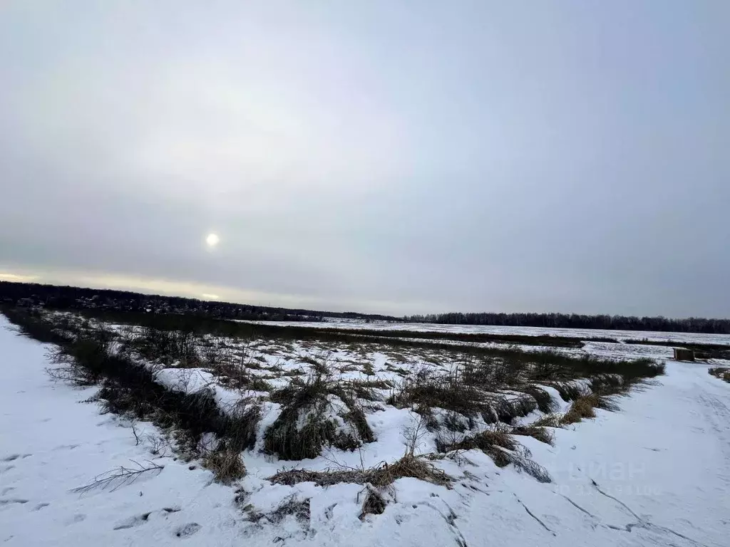 Участок в Московская область, Домодедово городской округ, с. ... - Фото 1