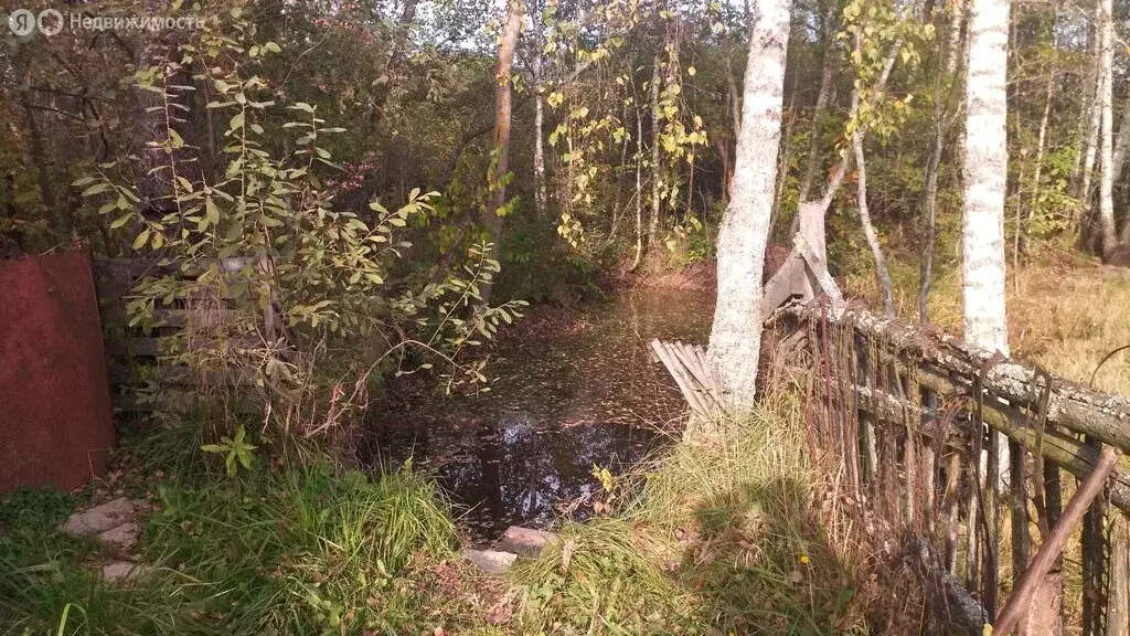 Участок в Смоленск, посёлок Вишенки (14.7 м) - Фото 1