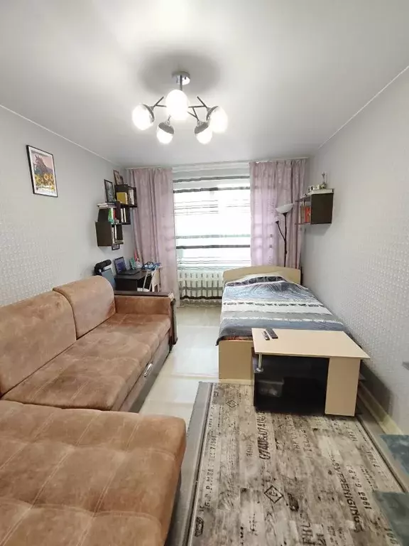 1-к кв. Псковская область, Псков Завеличье исторический район, ул. ... - Фото 2