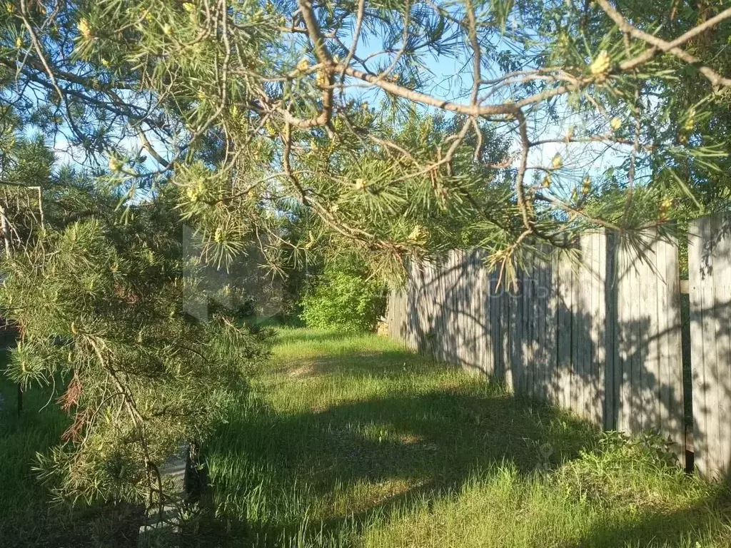 Участок в Тюменская область, Тюменский муниципальный округ, Солнечное ... - Фото 1